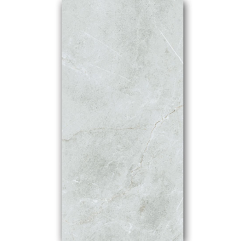 Gạch Taicera 600×1200 GP12848