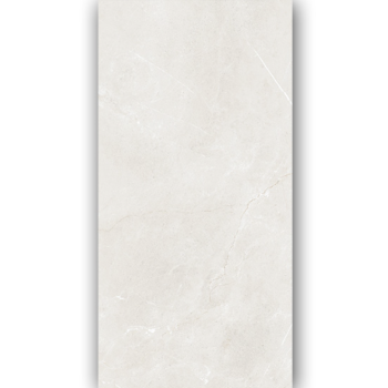 Gạch Taicera 600×1200 G12845
