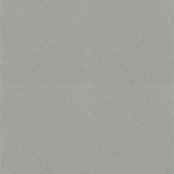 Gạch Taicera P67001N