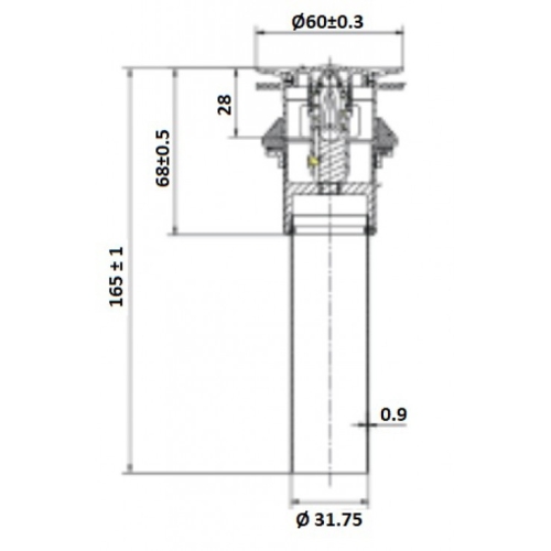 Nút Xả Nhấn cho Lavabo American Standard FFAS7979