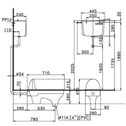 Bồn Cầu Xổm CAESAR C1230+BF449 Kèm Bộ Xả